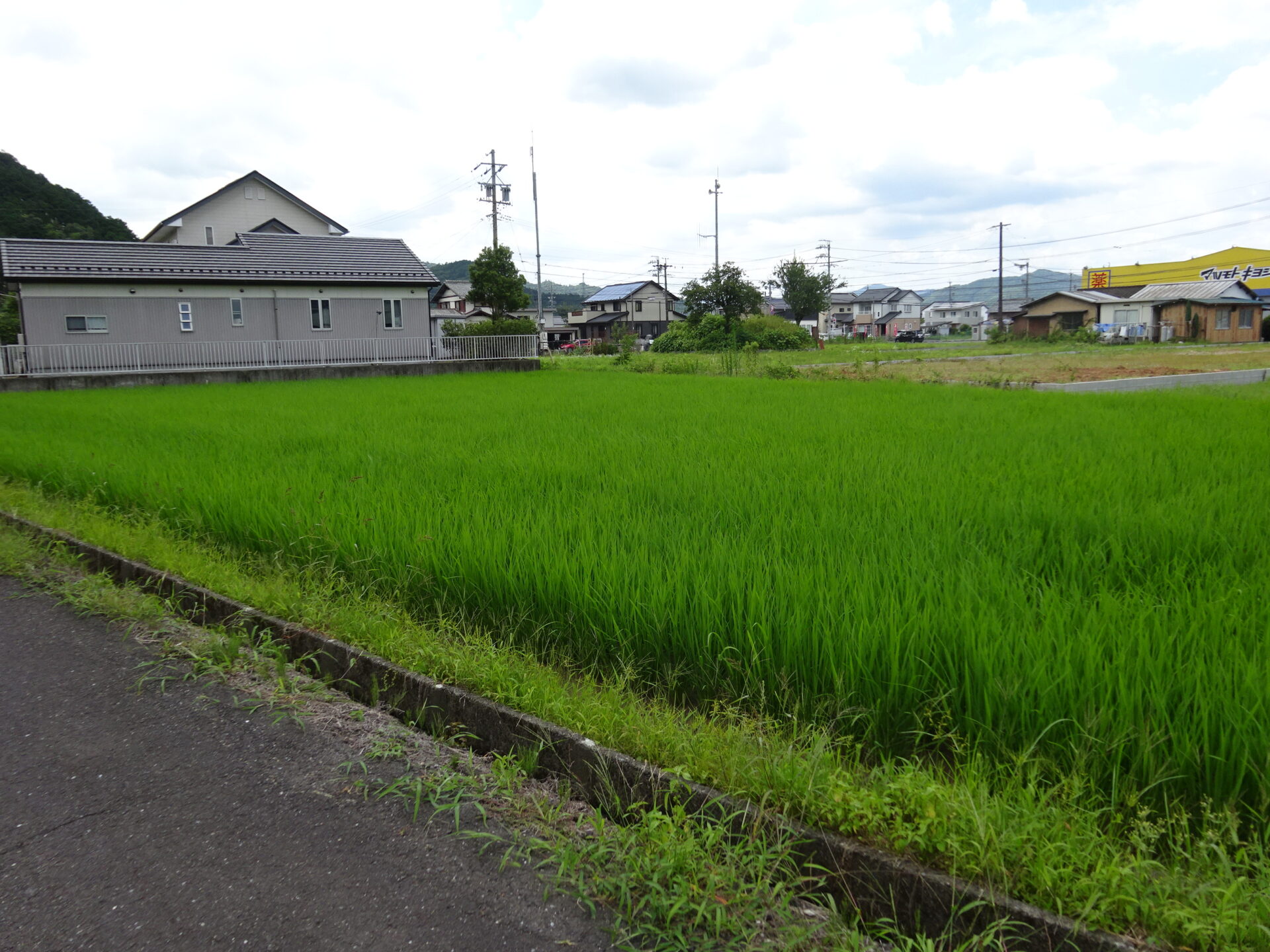 山県市高富　土地718.00㎡（217.19坪）